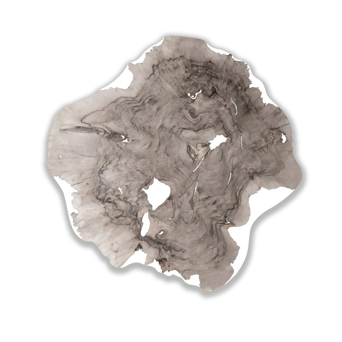 Arditi Collection Agave Bleached Walnut Wood Coffee Table