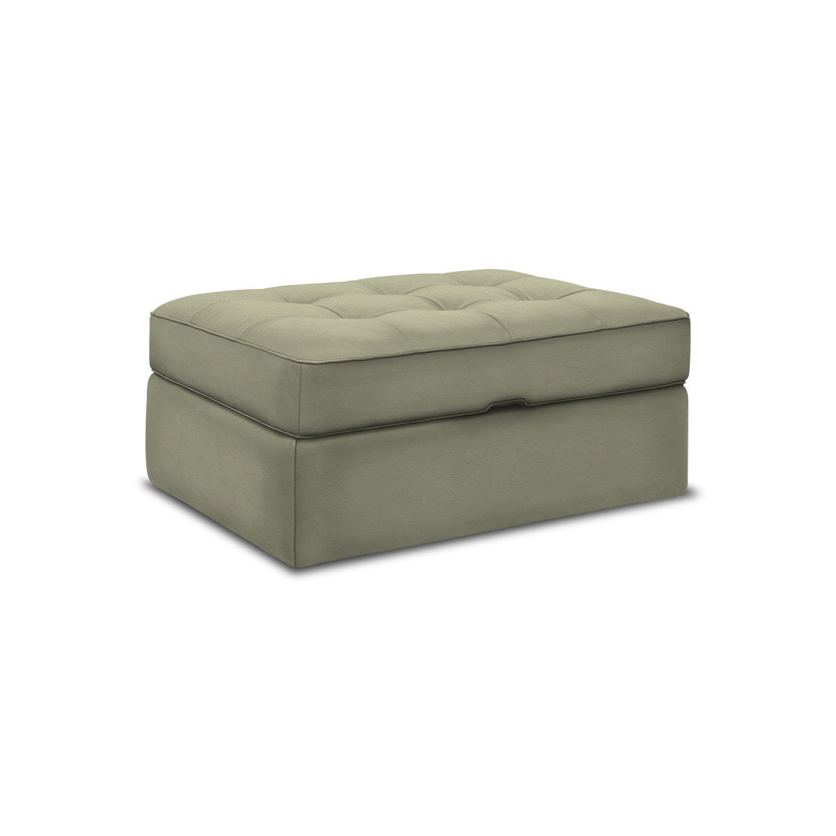 Eleanor Rigby Arizona 42 Wide Genuine Leather Tufted Rectangle Storage Ottoman