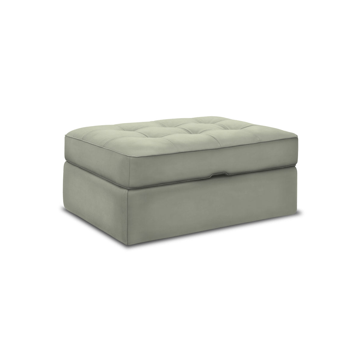 Eleanor Rigby Arizona 42 Wide Genuine Leather Tufted Rectangle Storage Ottoman