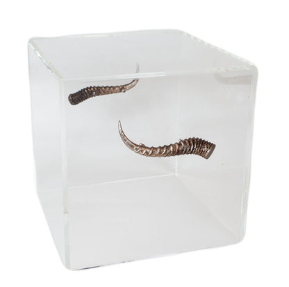 Jamie Dietrich Bella Block End Table