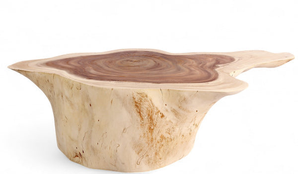 Dyag East Nature Free Form Block Coffee Table