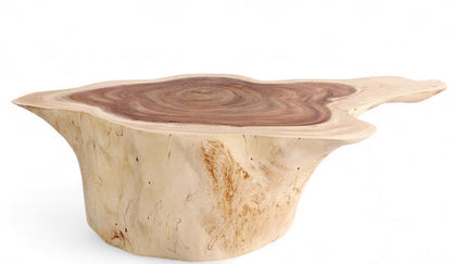 Dyag East Nature Free Form Block Coffee Table
