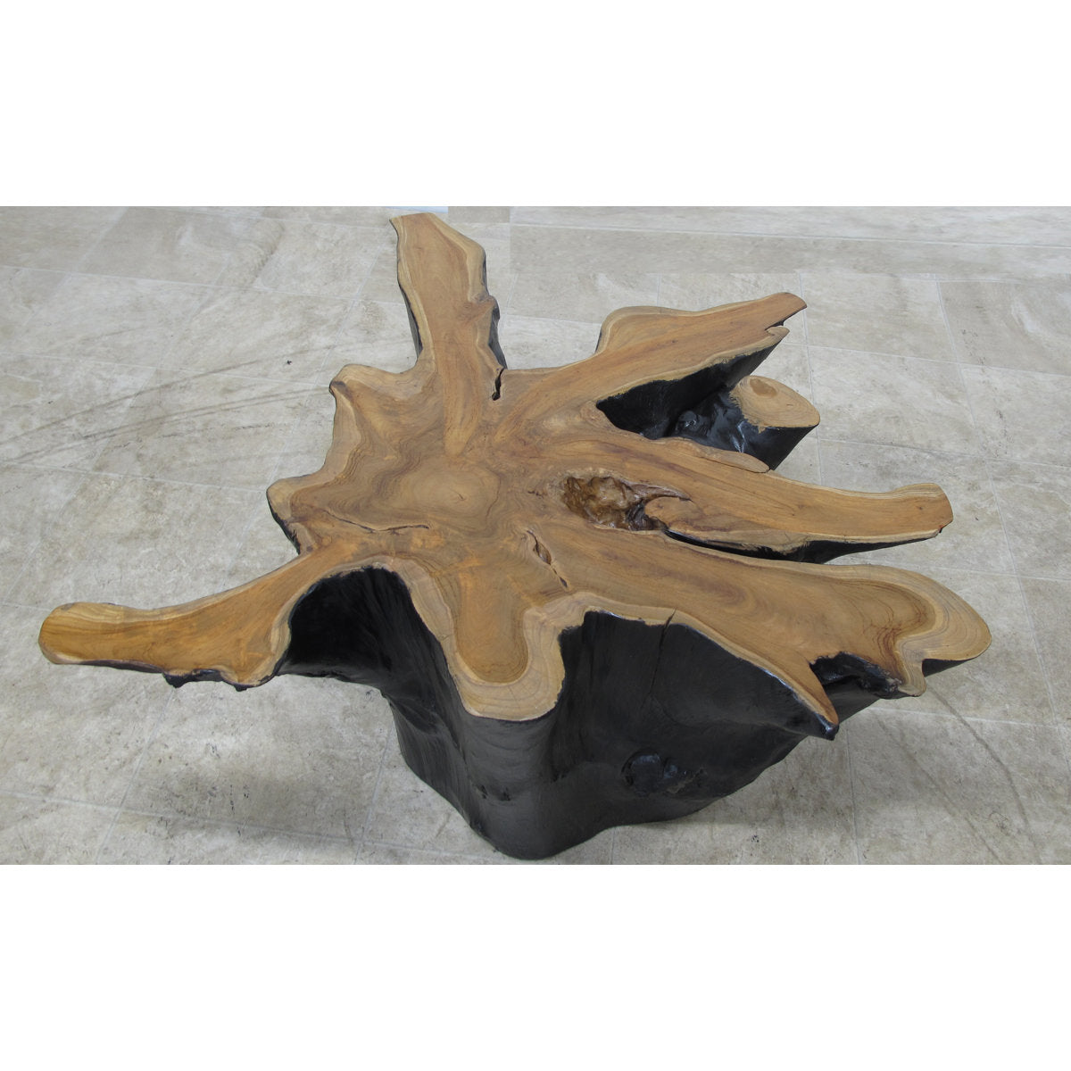 Dyag East Organic Star Teak Root Coffee Table Or Accent Table