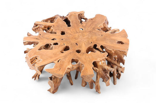 Dyag East Natural Teak Root Color Round Coffee Table