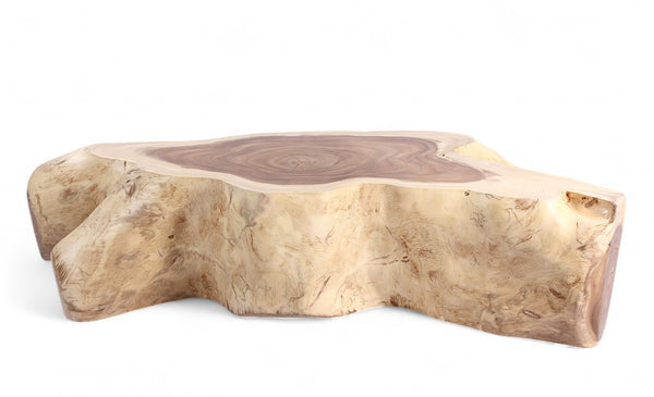 Dyag East Nature Free Form Block Coffee Table