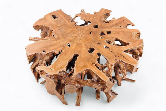 Dyag East Natural Teak Root Color Round Coffee Table