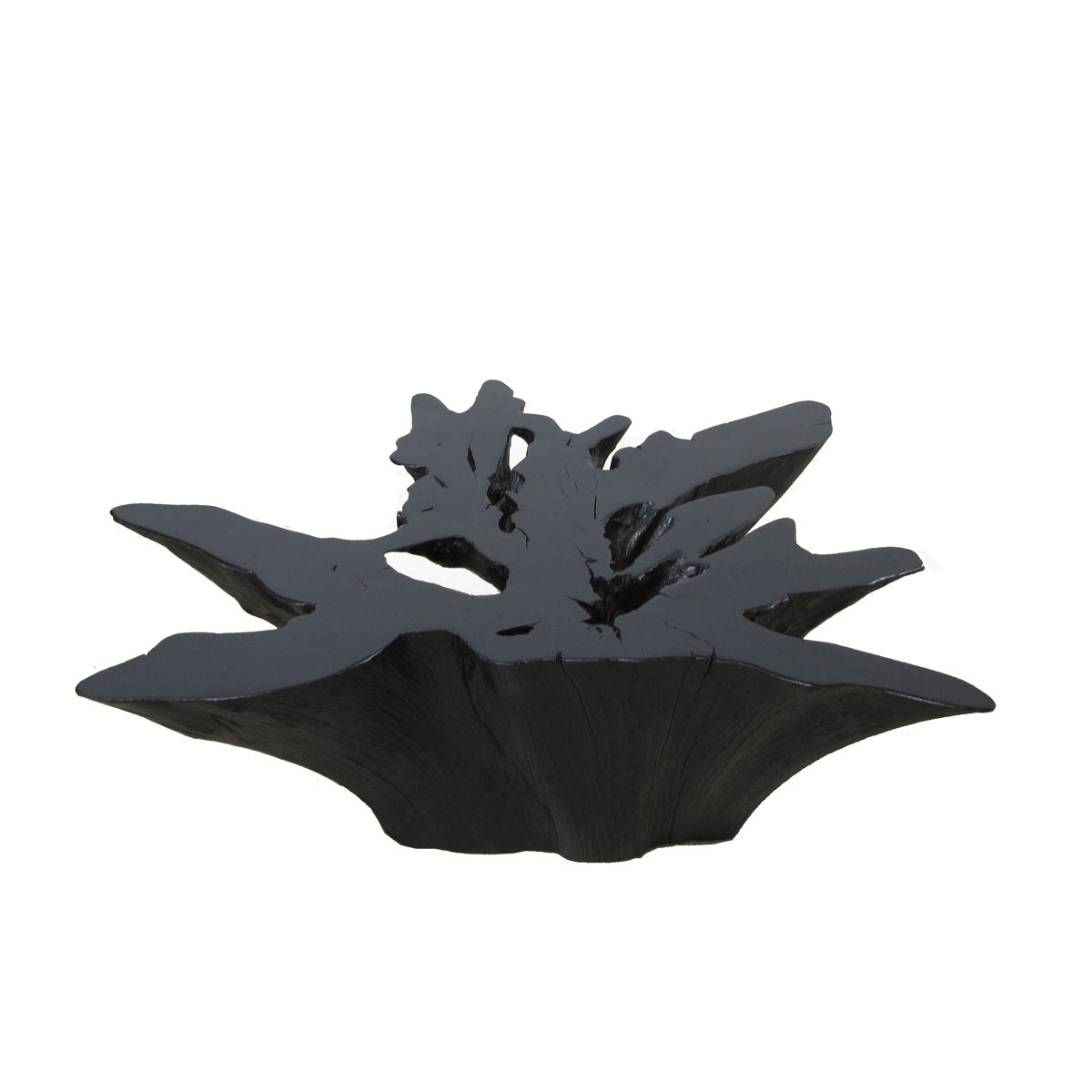 Dyag East Organic Teak Root Coffee Table In Ebony