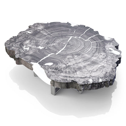 Arditi Collection Satyria Bleached Walnut Wood Coffee Table