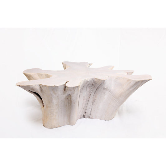 Solid Wood Coffee Table