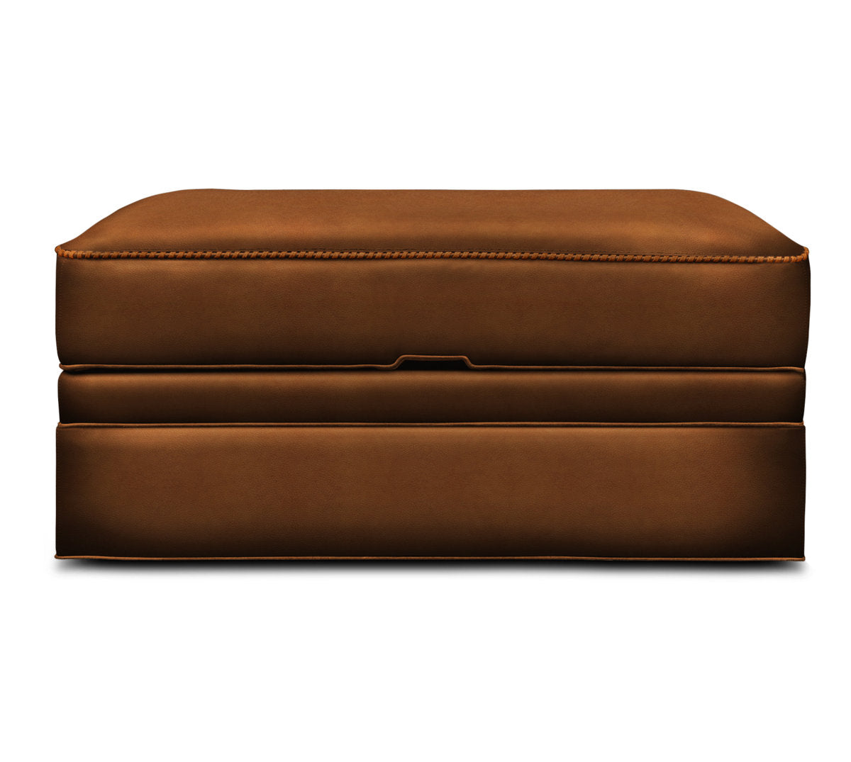 Eleanor Rigby Stafford 42 Wide Genuine Leather Rectangle Storage Ottoman
