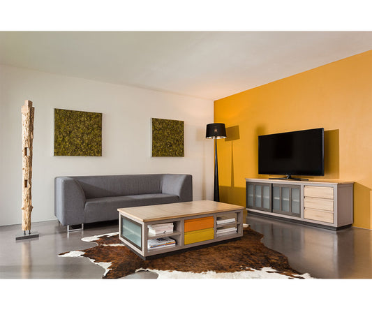Michel Ferrand Symbiose Block Coffee Table With Storage